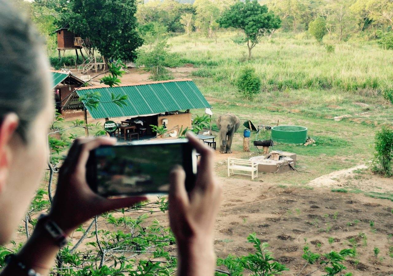 Elephant Watch Hut - last minute hotel in Sigiriya