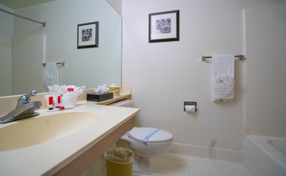 Howard Johnson by Wyndham Buena Park - photo 21