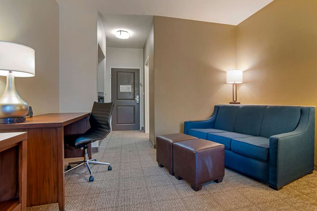 Comfort Suites Alexandria North - photo 11