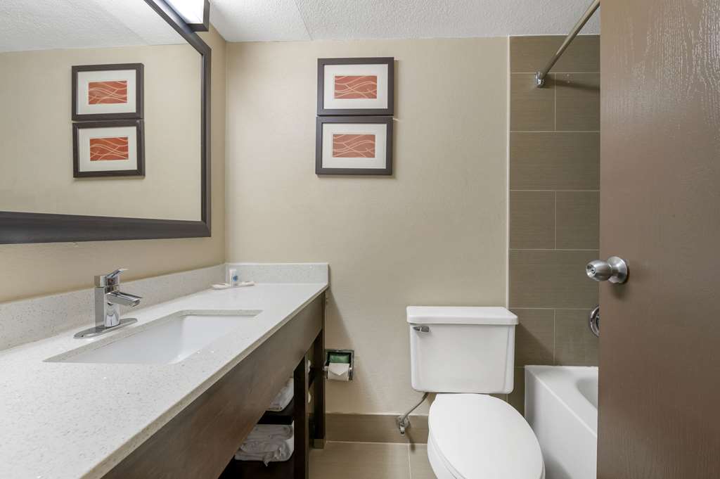 Comfort Inn & Suites Indianapolis Northwest College Park - photo 22