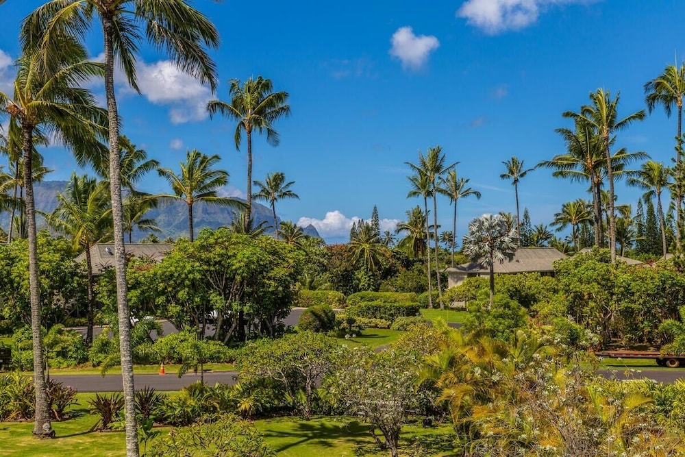Newly Remodeled Cliffs Resort in Princeville condo - photo 33