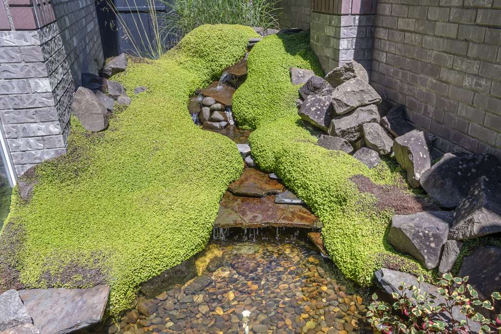 Lincoln Sands Oceanfront Resort Ascend Collection - photo 4