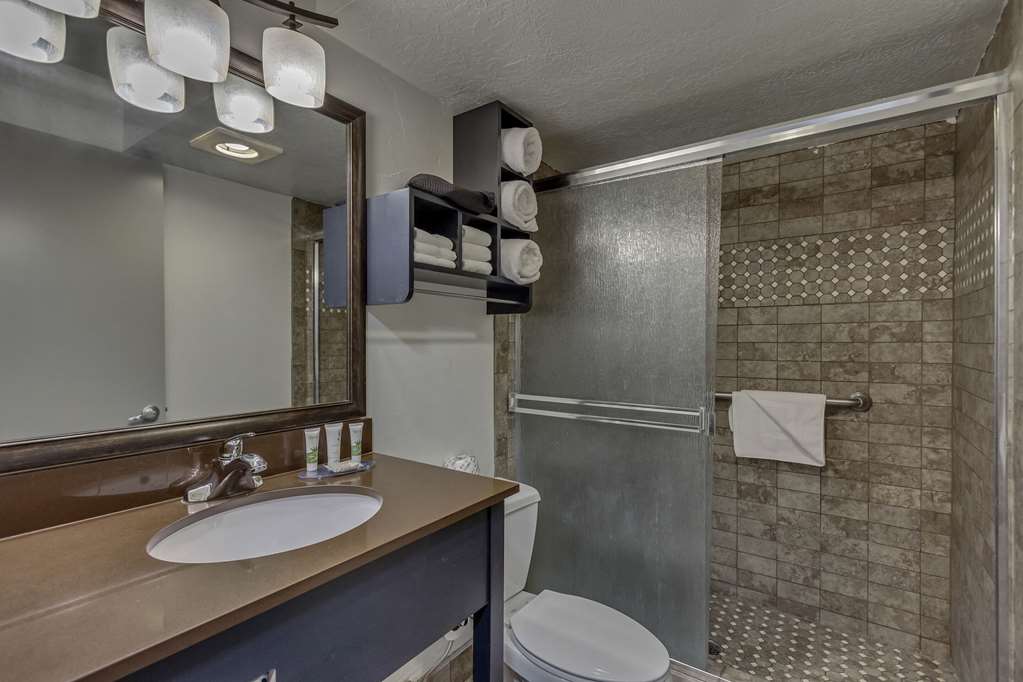 Park Inn by Radisson Salt Lake City Midvale - photo 13