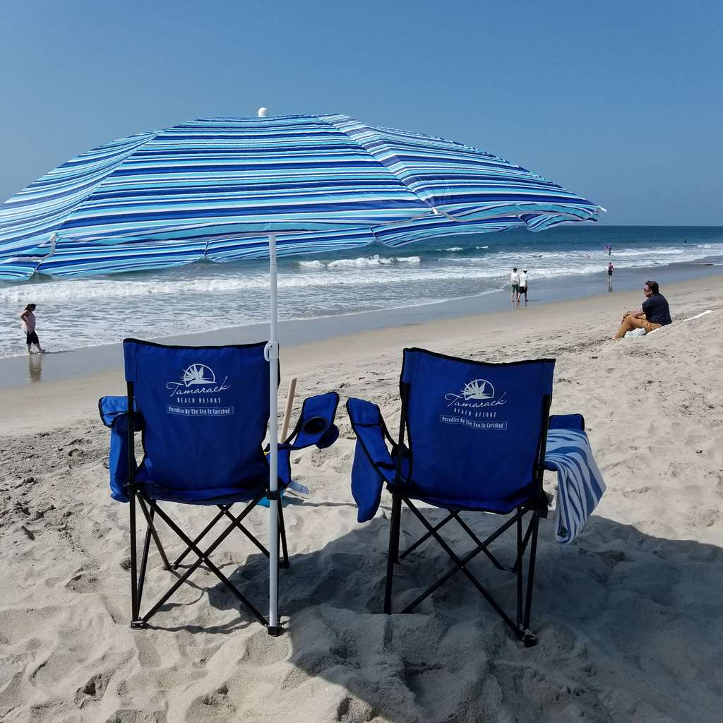 Tamarack Beach Resort Hotel - photo 19