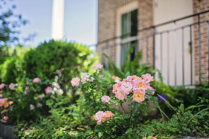 Beaufort Inn - photo 4