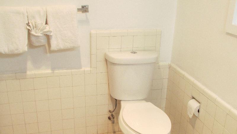 Mountain Star Inn - photo 136