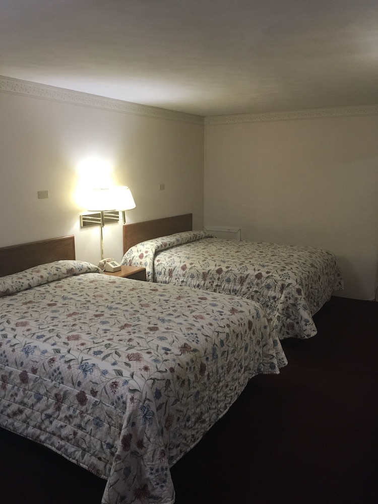 Grapevine Inn - photo 5
