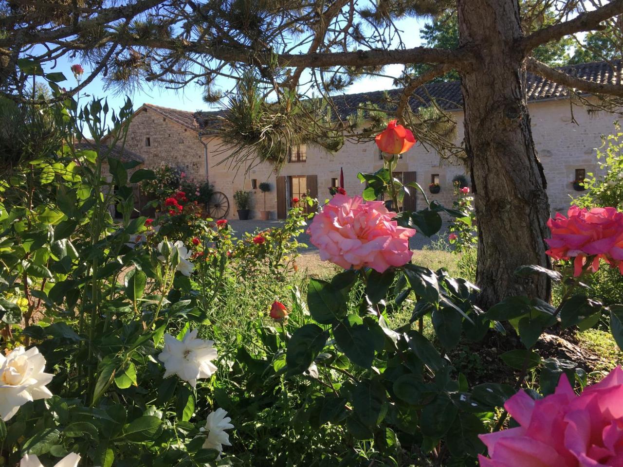 Gites Dans Les Champs — hotel in Sauze-Vaussais