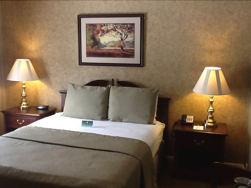 Green Park Inn - photo 11