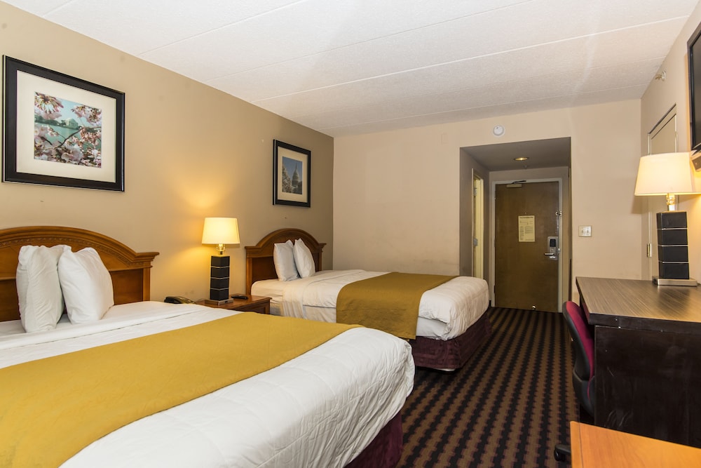 Garden Inn - photo 8