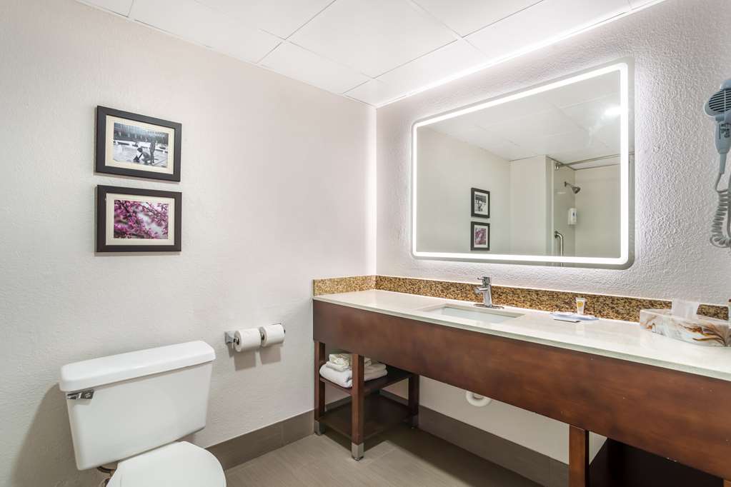 Comfort Inn Charlotte Airport Uptown - photo 19