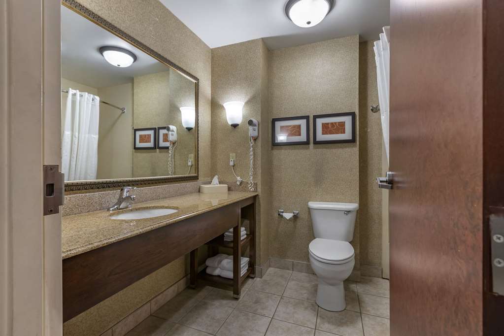 Comfort Suites Grand Rapids South - photo 17