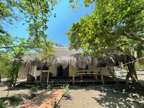 Bokané in Unknown City, Mexico