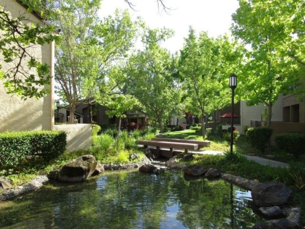 Global Luxury Suites near Canyon Lakes - photo 6