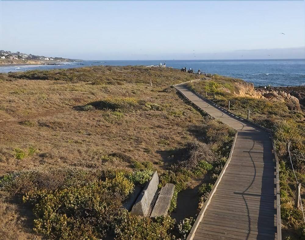 Cambria Landing Inn & Suites - photo 54
