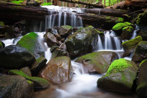 Sol Duc Hot Springs Resort - photo 11