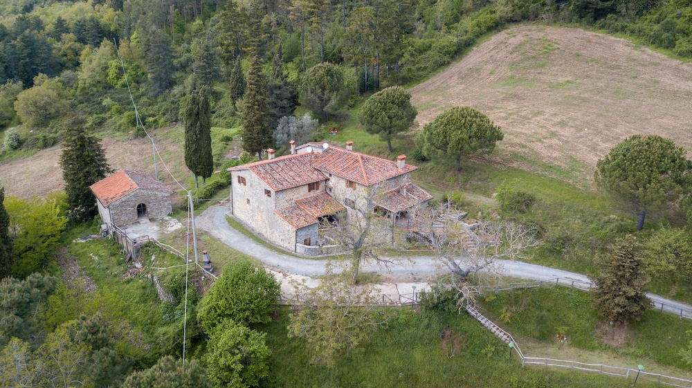 Fattoria Di Cintoia — Pontassieve
