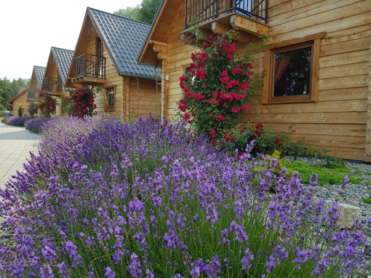 Domki Polanica in Polanica-Zdroj, Poland