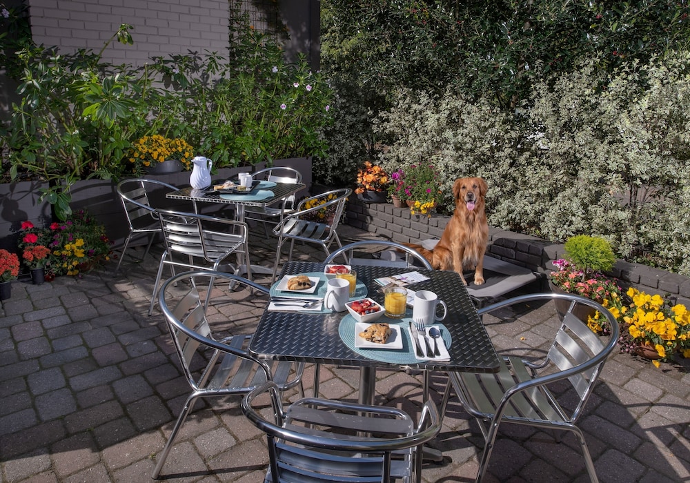 Carmel Country Inn - photo 29