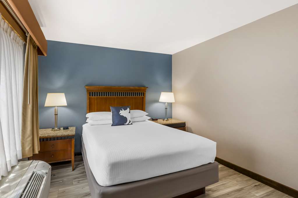 Best Western Denver Southwest - photo 14