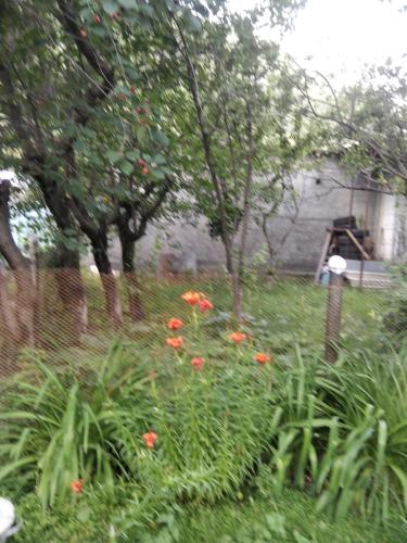 Guest House Arsha