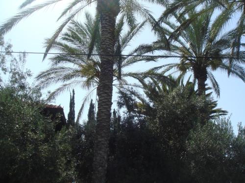 Lisa s Farm Place in Rishon Leziyyon, Israel