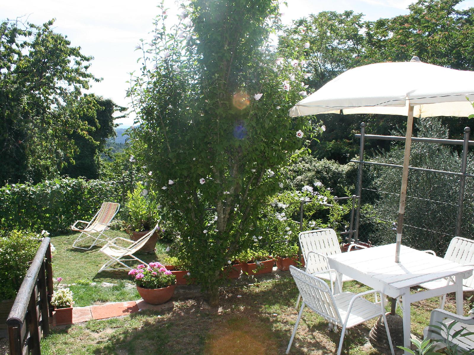 L’Anticiana — Camaiore — photo 4