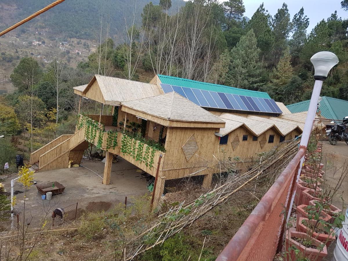 Ekant Bamboo Huts — Mandi — photo 2