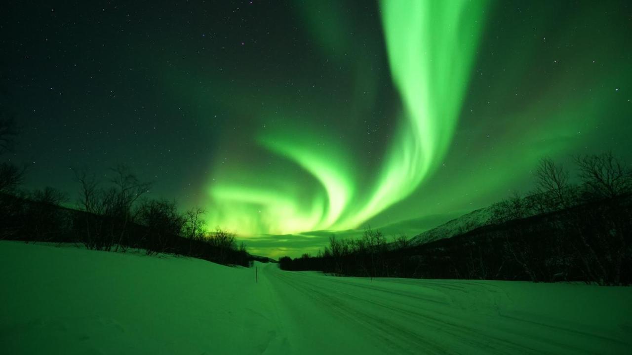 Arctic Aurora Borealis Cottages — Utsjoki — photo 5