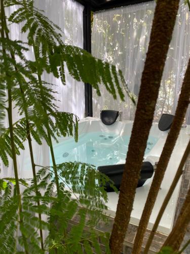 Nido De Montaña in Copacabana, Colombia