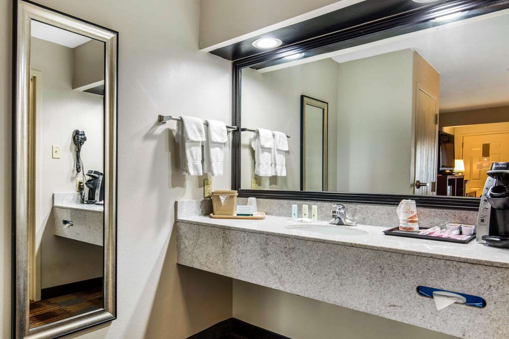 Quality Inn Memphis Airport - photo 22