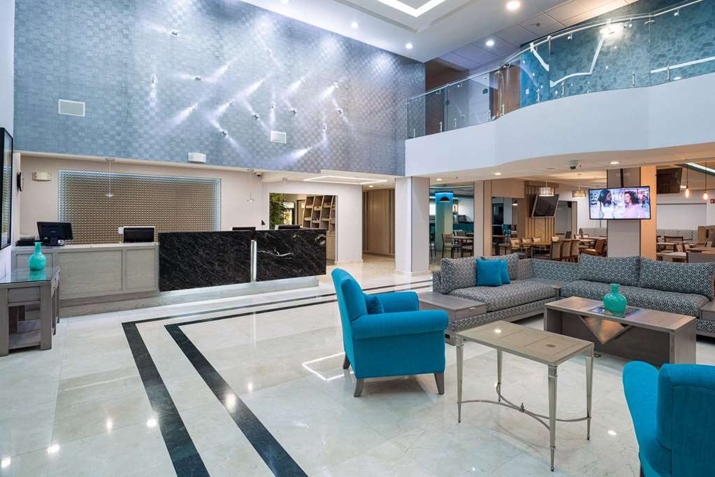 Wingate by Wyndham Chihuahua