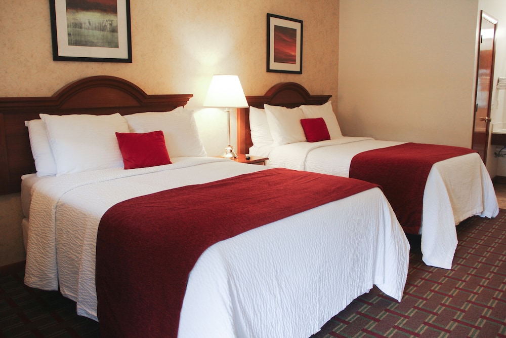 The Pineola - photo 14