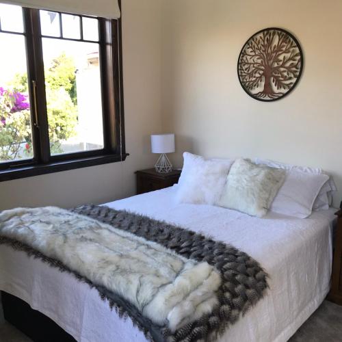 Casa Felina Apartment — 4-Star Luxury Hotel in Wellington, New Zealand