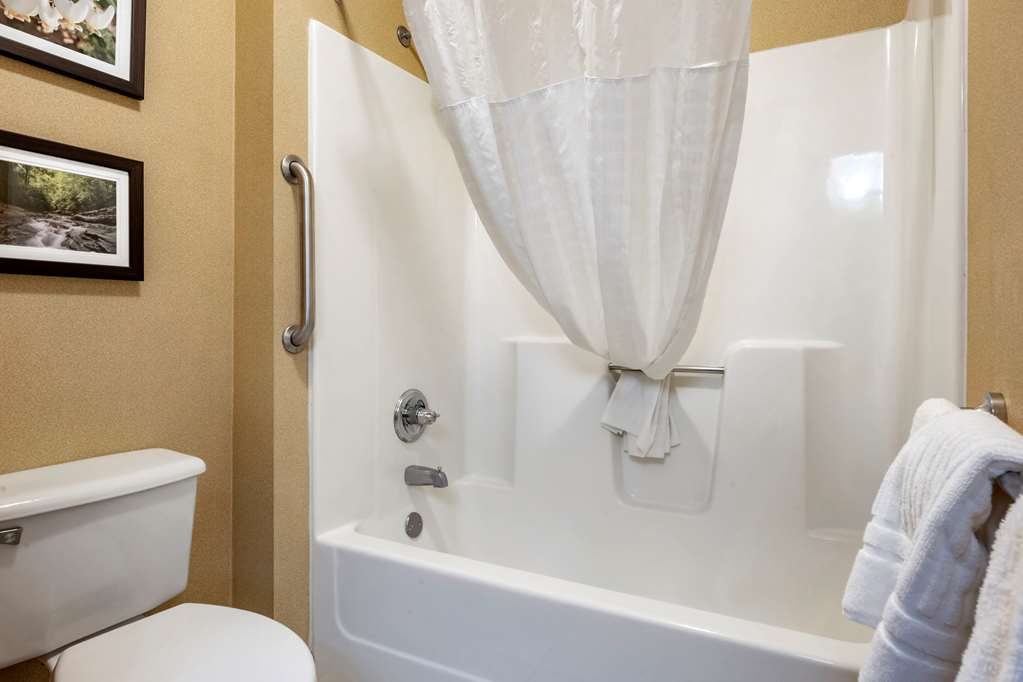 Comfort Inn Meadowlands - photo 16