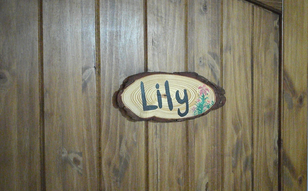 Lil Black Bear Inn - photo 115