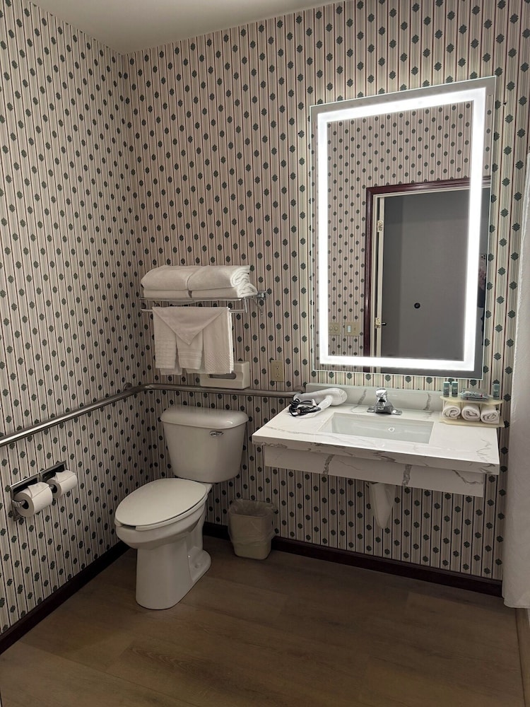 Evergreen Inn and Suites - photo 19
