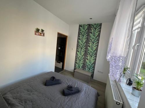 Apartament city center 118 — Piekary Slaskie — photo 2