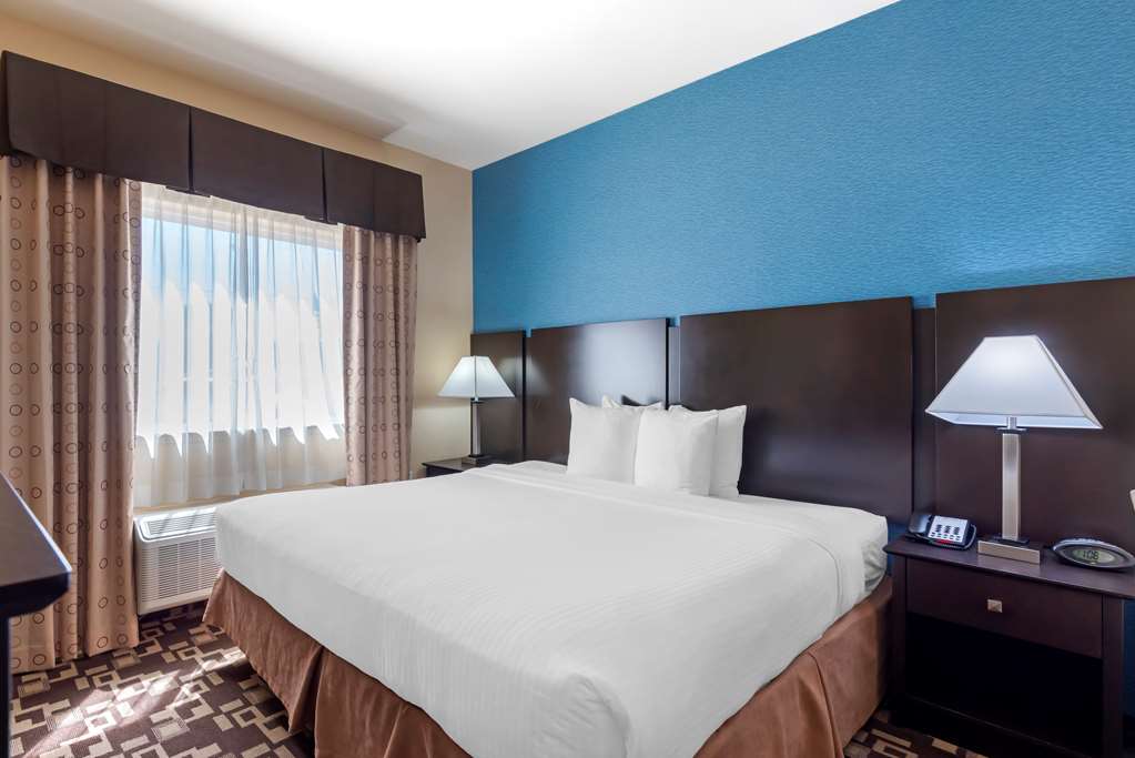 Best Western Plus Arlington North Hotel & Suites - photo 15