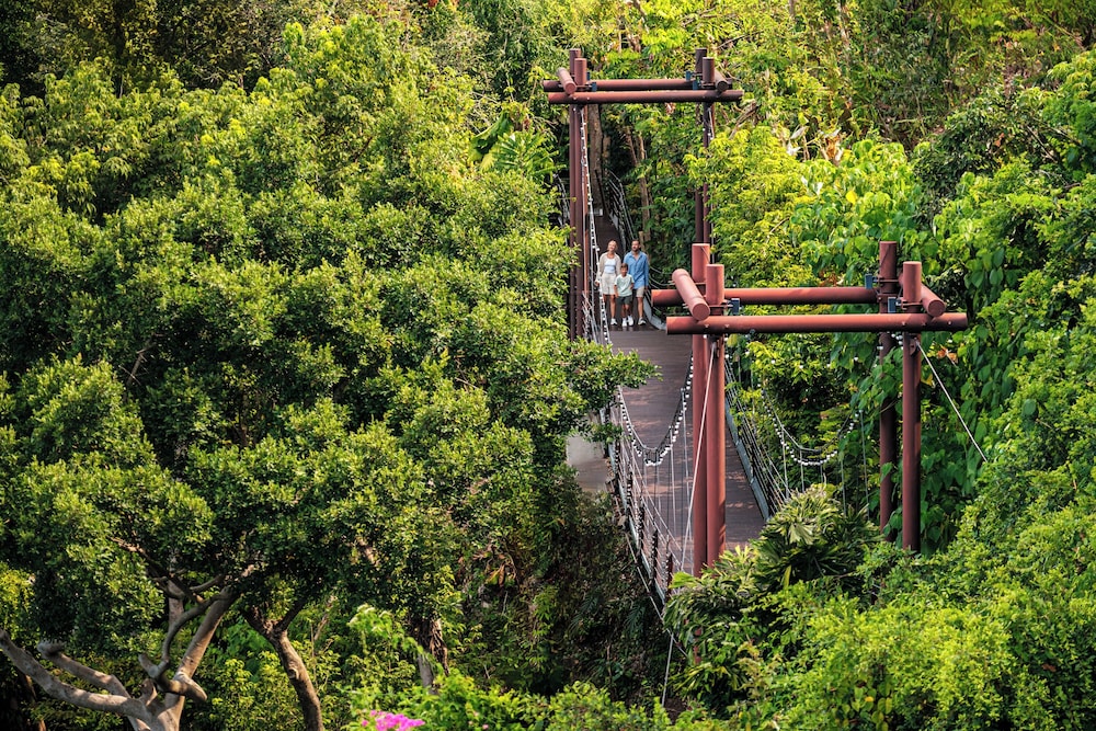 שטחי חוץ / גן