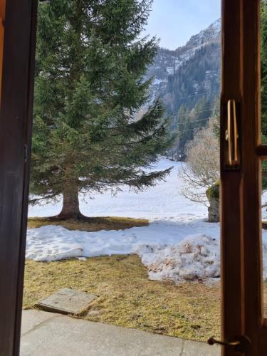 Monolocale Walser — Formazza — photo 5