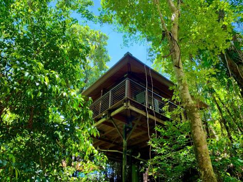 Cairns Rainforest Retreat in Cairns, Australia