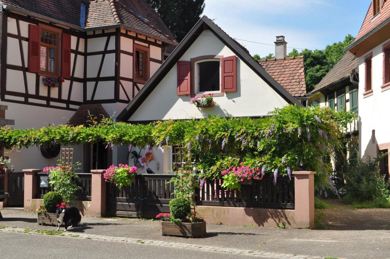 Les Tilleuls — hotel in Wissembourg