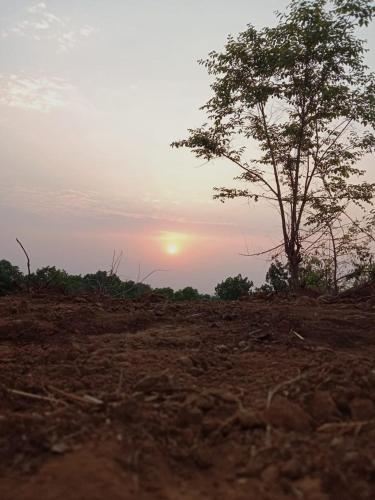 Entire Private Farm on Rent 2 Acre with 3 Room it’s Kittu’s Farm in Kalyan, India