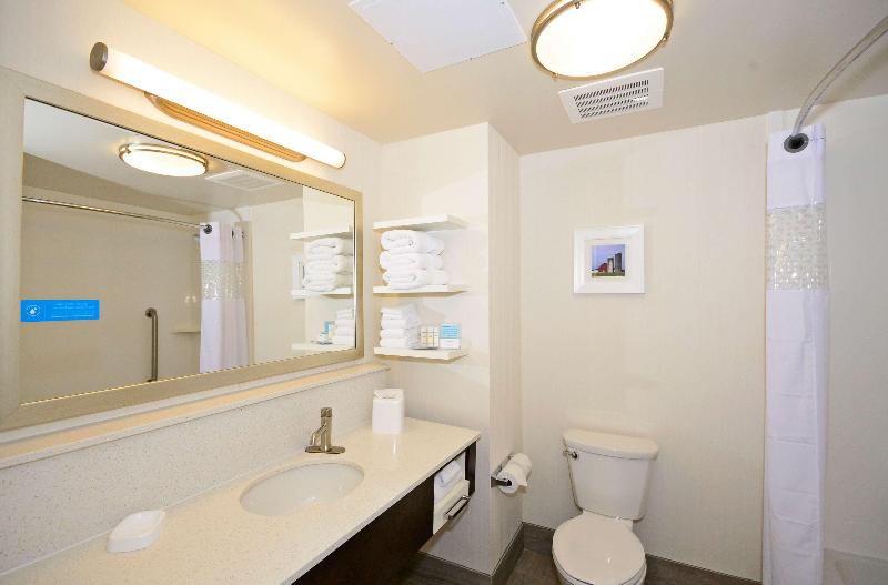 Hampton Inn Pulaski - photo 96