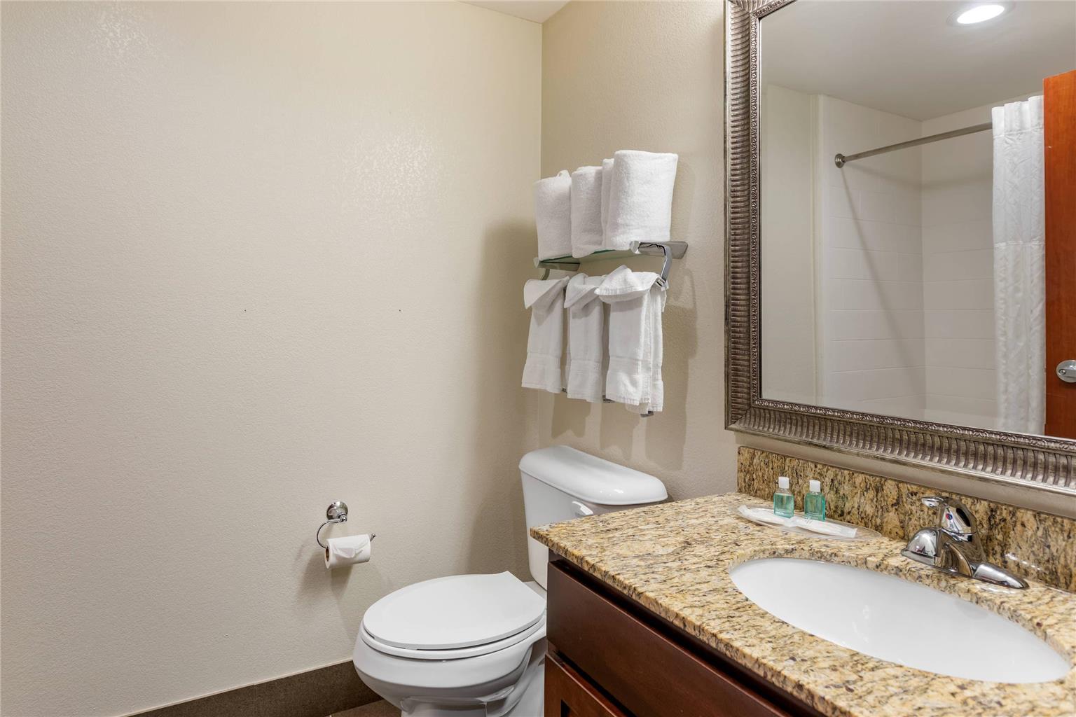 MainStay Suites Near Denver Downtown - photo 7