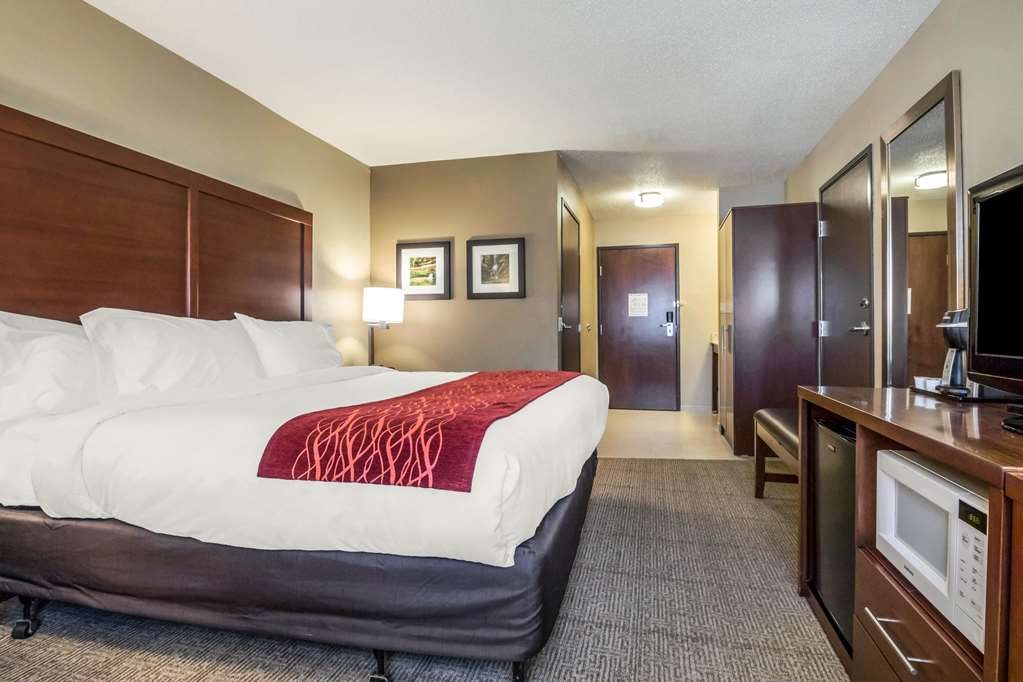 Comfort Inn Ottawa Starved Rock Area - photo 19