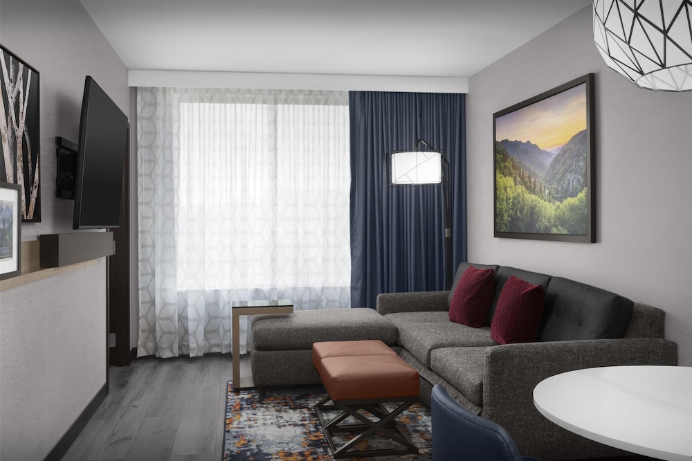 Embassy Suites by Hilton Pigeon Forge Resort - photo 12
