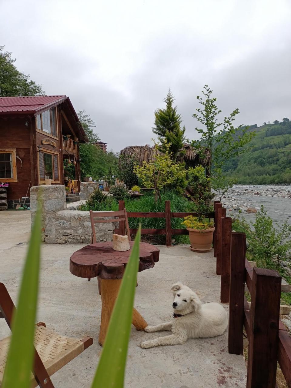 Dere Evi in Ardesen, Turkey