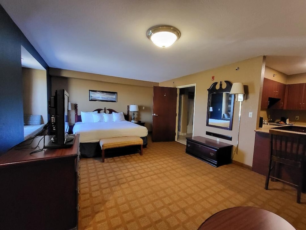 Starkville Inn & Suites - photo 10